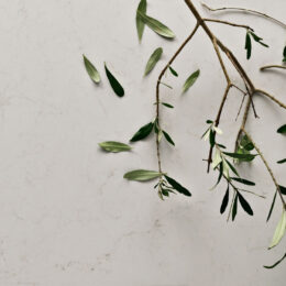 Frosty Carrina™ 5141