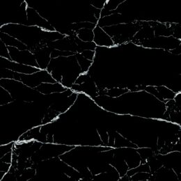 Calacatta Monte Nero (BookMatched)