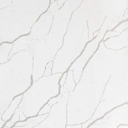 LS322 CALACATTA PAKO