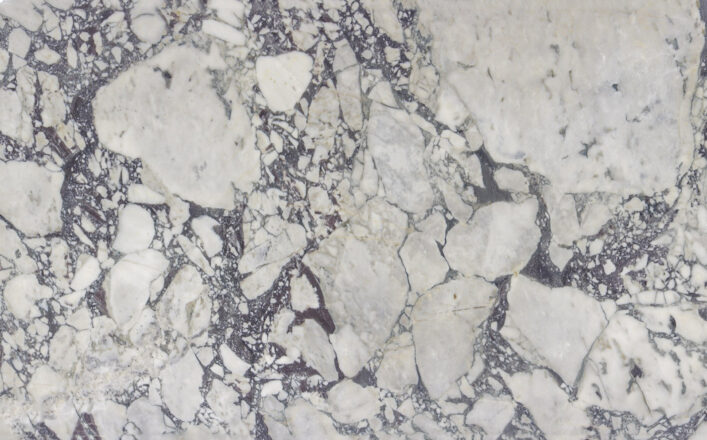 LVNS1030 VIOLA MONET