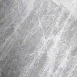 LVNS1110 DESERT SILVER