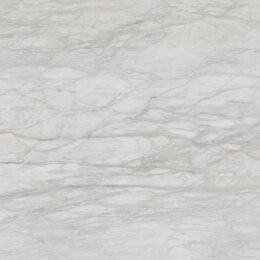 LVNS1244 CALACATTA POLAR