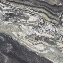 LVNS1466 CIPOLLINO EXTRA