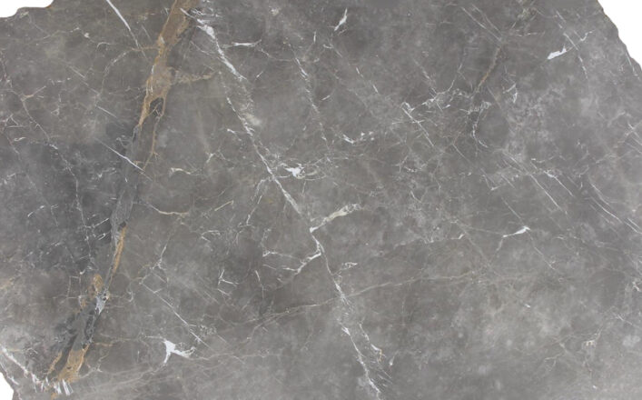 LVNS1661 GRIGIO COLLEMANDINA