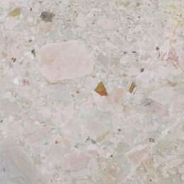 LVNS1662 CEPPO DI ROSA