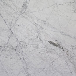 LVNS1711 FROZEN WHITE