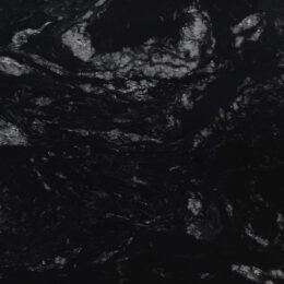 LVNS4311 TITANIUM CLASSIC