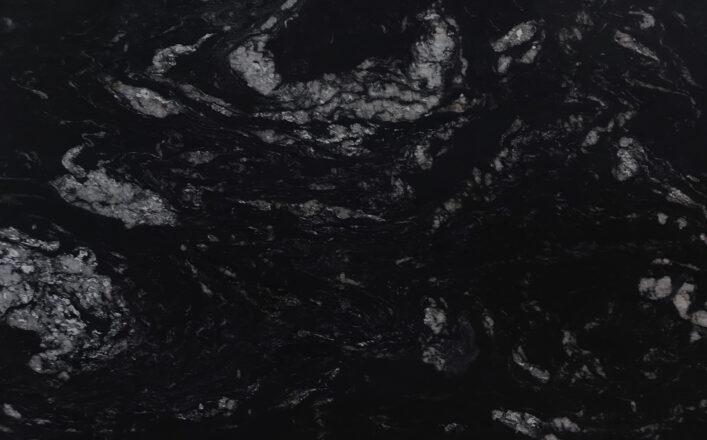 LVNS4311 TITANIUM CLASSIC