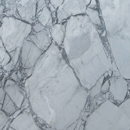 Super White Calacatta