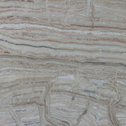 Jurassic Light Traonyx