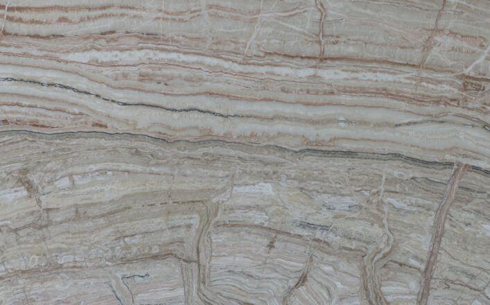 Jurassic Light Traonyx